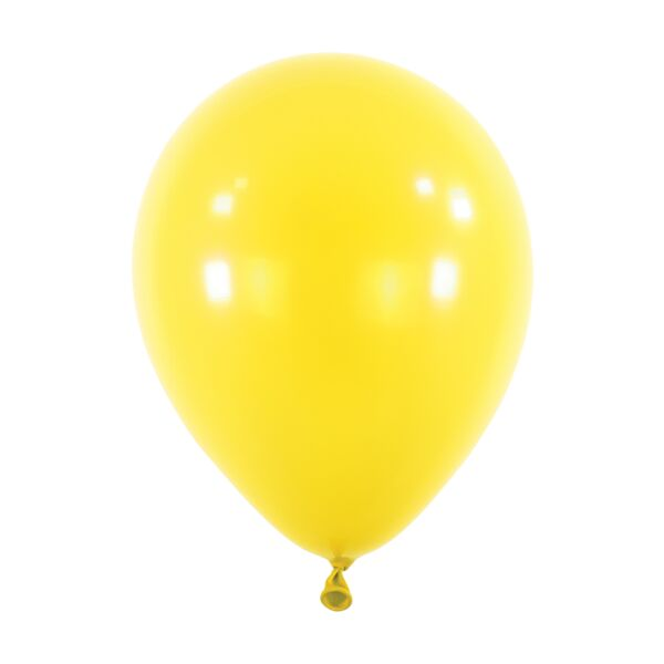 Latex Balloon, 11in
